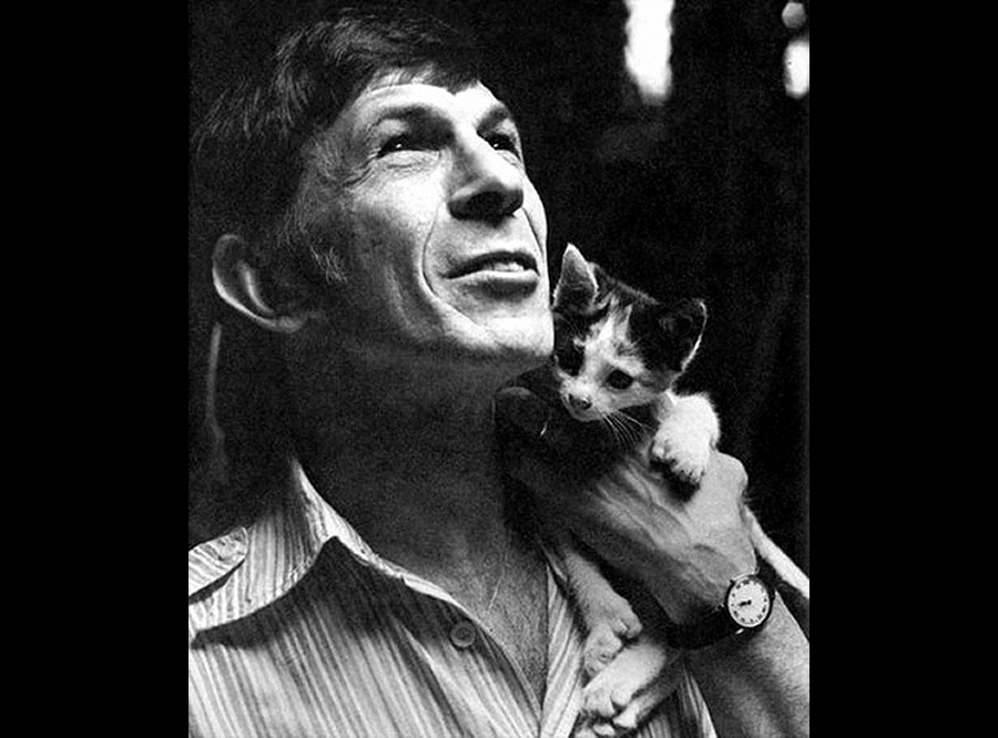 Daily Pic # 605, Leonard Nimoy