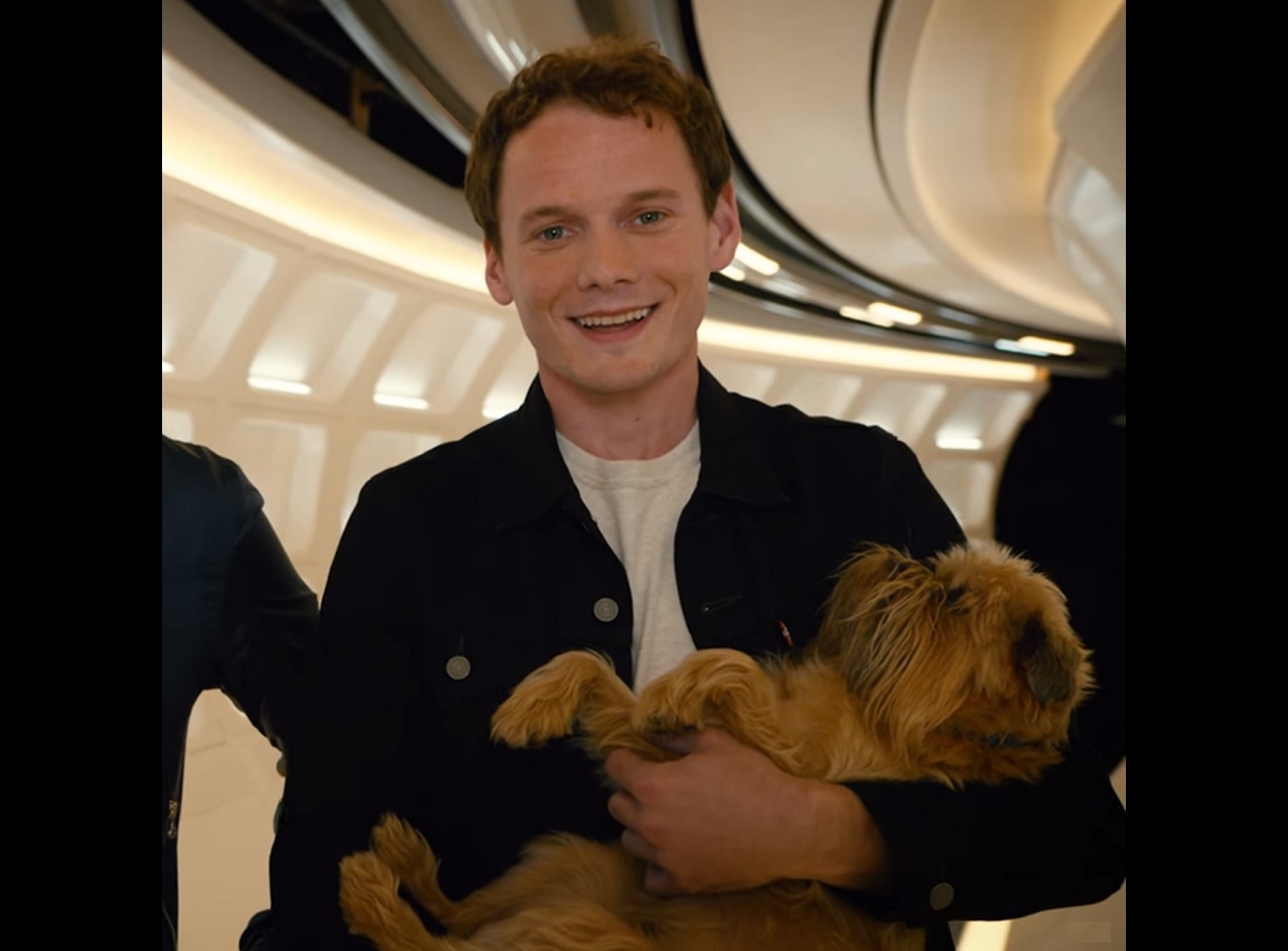 Daily Pic # 2761, Anton Yelchin